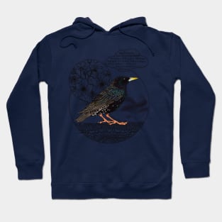 Shakespeare's Starling, Doodle Hoodie